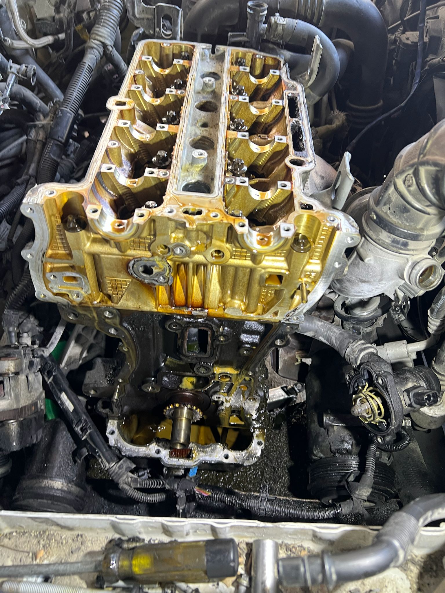 PHOTO-2025-07-08-00-48-12(1)