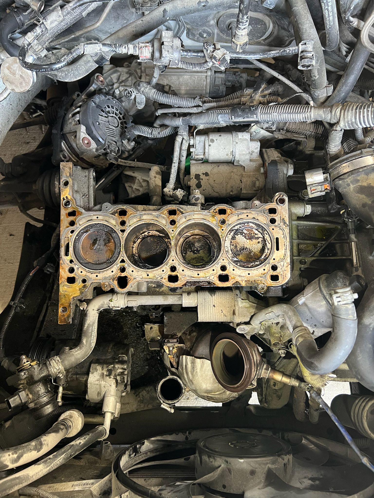 PHOTO-2025-07-08-00-48-13