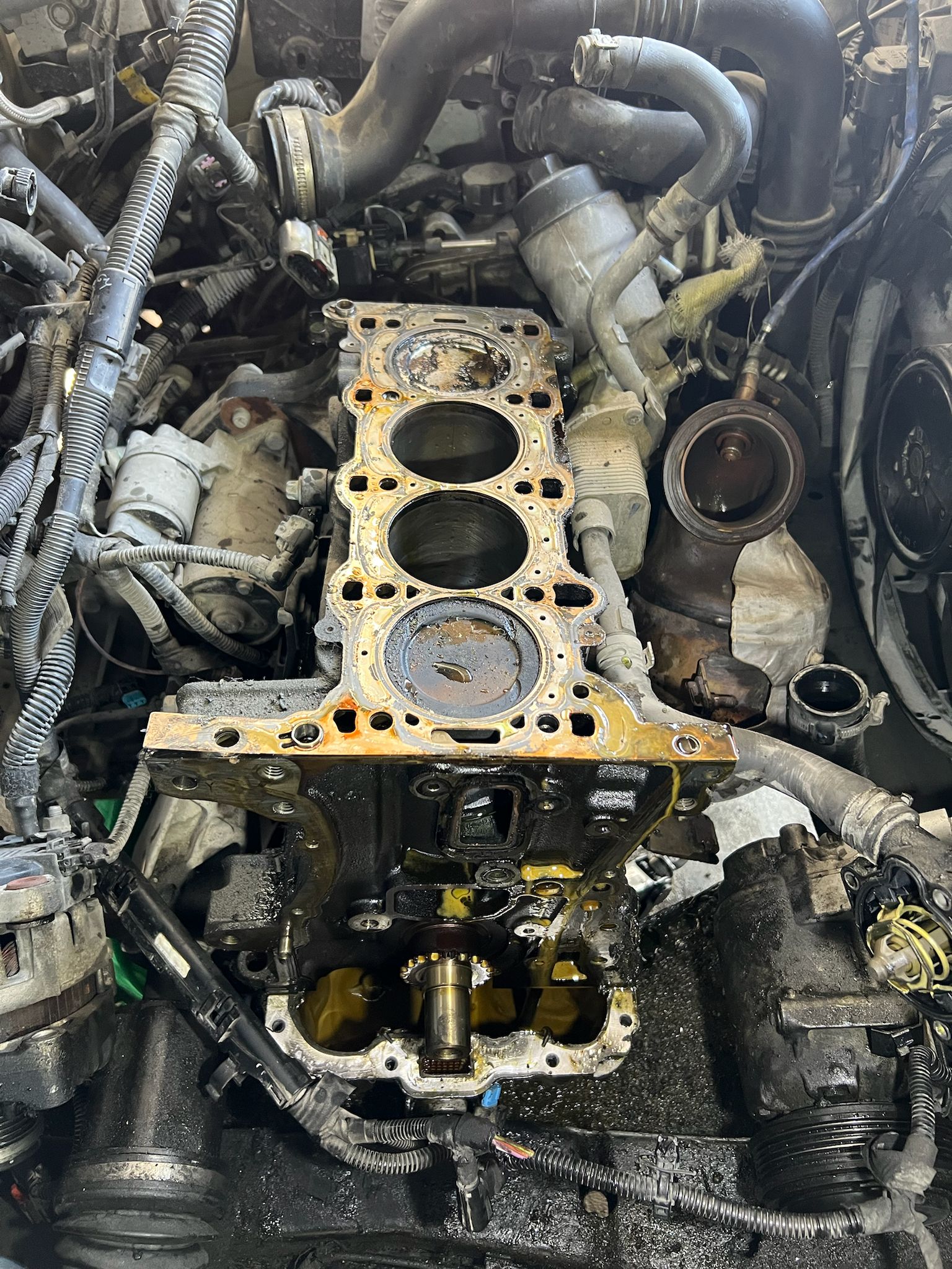 PHOTO-2025-07-08-00-48-13(1)