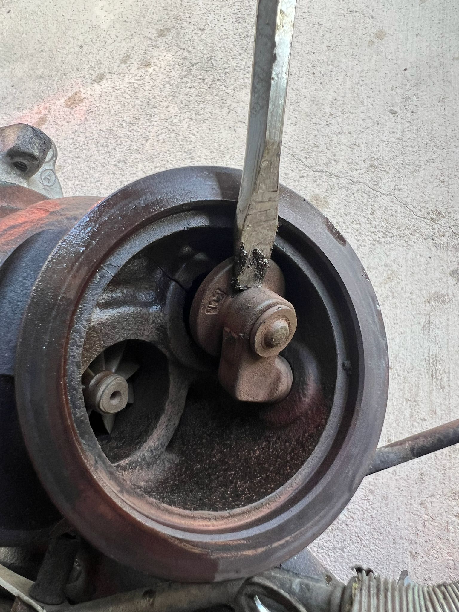 PHOTO-2025-07-08-00-48-13(2)